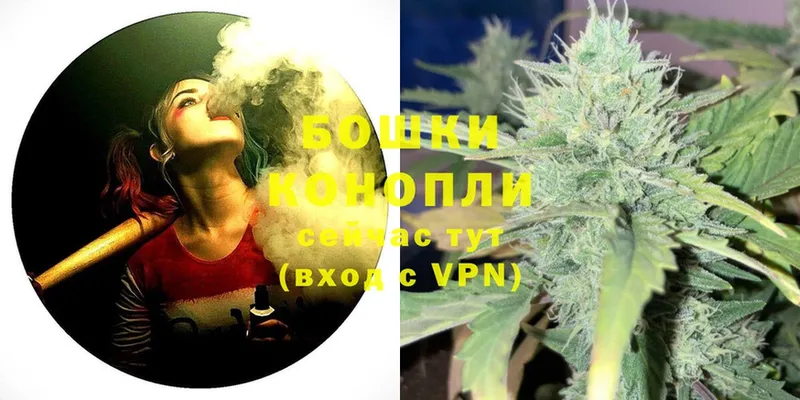 Шишки марихуана White Widow  дарк нет состав  Каменка  где купить наркоту 